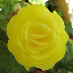 伯格帕诺拉玛公寓 公寓