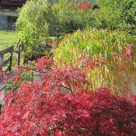 伯格帕诺拉玛公寓