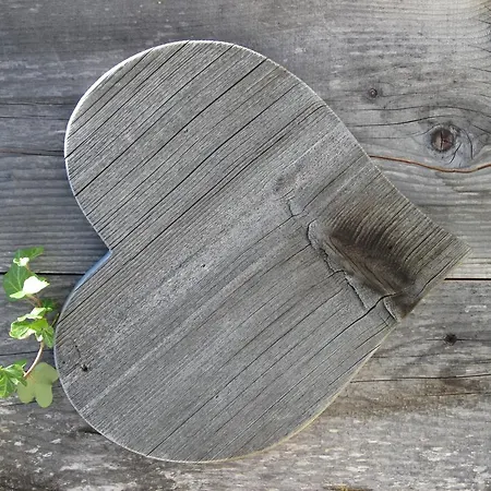 Bergpanorama דירה